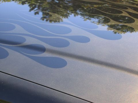 1999 Ford Crown Victoria - The hood of a car features dark flame decals and reflects trees from above.