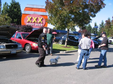 1999 Ford Crown Victoria - A gold 1999 Ford Crown Victoria is parked with its hood open, alongside other vehicles at an outdoor gathering.