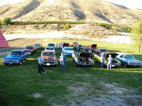 1967 Ford Ranchero - A gathering of classic Ford Rancheros and other vehicles displayed outdoors on a sunny day.