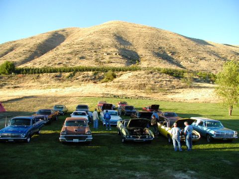 1967 Ford Ranchero - A gathering of classic cars, including a 1967 Ford Ranchero, parked on a grassy field.