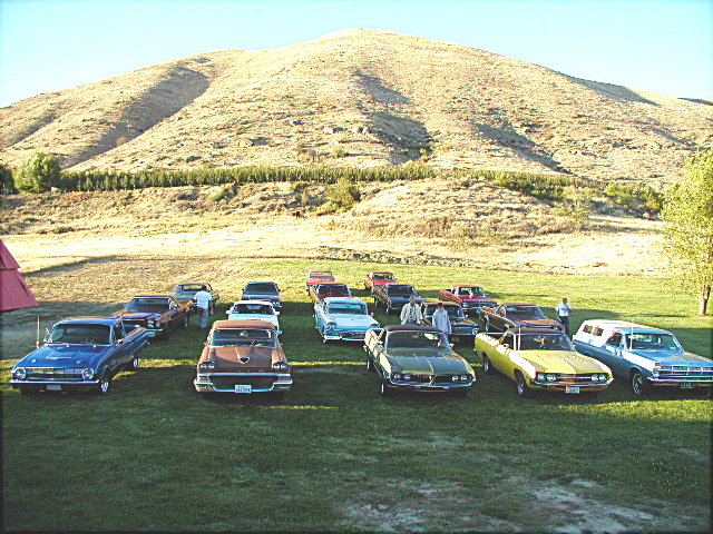 group of classic cars parked on grass with a hill in the background