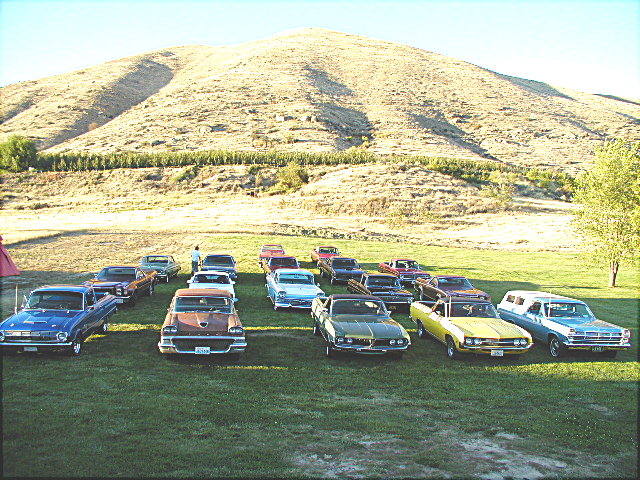 Collection of vintage cars parked on grass with a hill in the background. A brown 1958 Ford Fairlane 500 is in the foreground