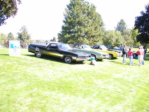 1967 Ford Ranchero - Multiple Ford Rancheros are lined up on a lawn during an outdoor car show event.