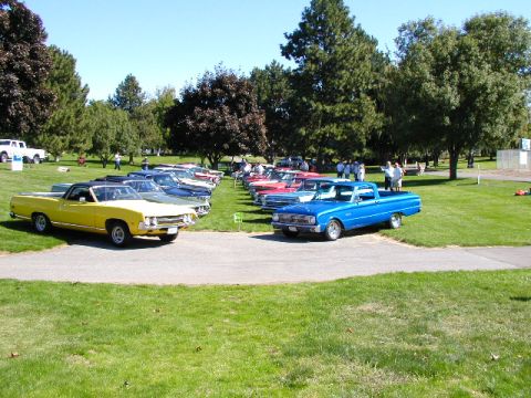 1967 Ford Ranchero - A gathering of vintage vehicles, including pickup trucks and cars, are displayed on a sunny day in a park-like setting.
