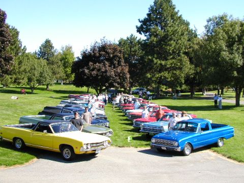 1967 Ford Ranchero - A gathering of Ford Rancheros and other vehicles on a sunny day.