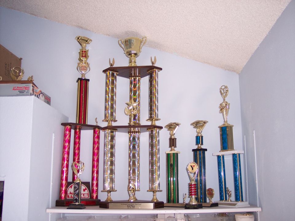 Collection of trophies on shelves, some with red, gold, and blue accents
