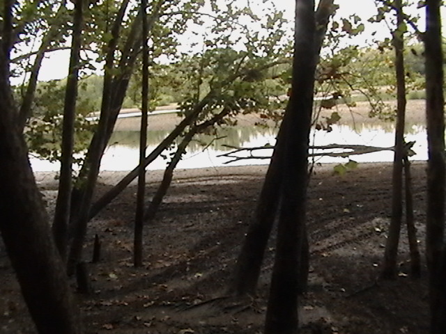 muddy ground with tire tracks leading toward a body of water, seen through trees