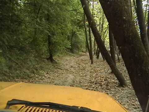 1986 Ford Bronco - A yellow vehicle drives down a muddy, leaf-strewn path surrounded by trees.