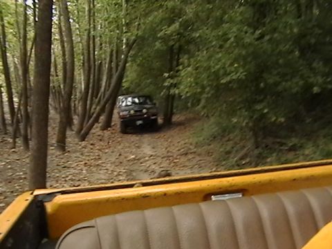 1986 Ford Bronco - A black 1986 Ford Bronco navigates a wooded dirt road.