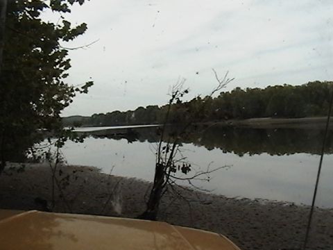 1986 Ford Bronco - A river scene viewed from the interior of a vehicle, showing trees and water under an overcast sky.