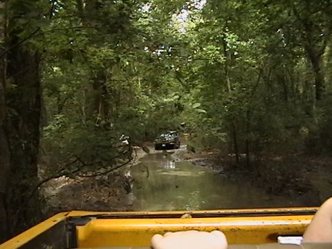 1986 Ford Bronco - Several off-road vehicles navigate a waterlogged trail surrounded by dense trees.