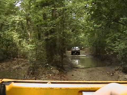 1986 Ford Bronco - A truck navigates a water-filled path surrounded by dense trees.