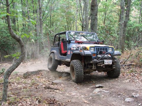 1996 Ford Bronco - Off-roading in a blue Jeep Wrangler on a wooded trail.