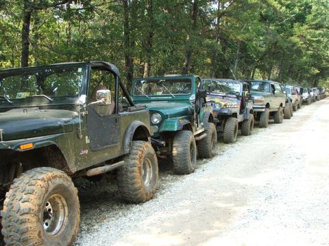 1996 Ford Bronco - A convoy of off-road vehicles, primarily Jeeps, are lined up on a dirt road surrounded by trees.