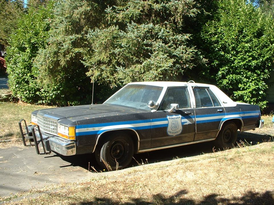 Black and white police car with blue stripes and a push bumper, parked on a grassy area