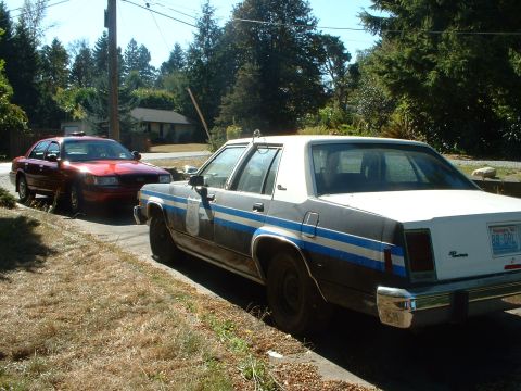 1999 Ford Crown Victoria - Both Vics.