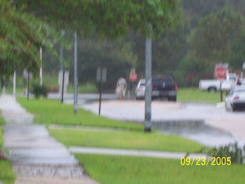 1992 Toyota Hilux - Rainy day street scene with multiple vehicles and pedestrians visible.