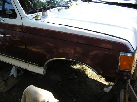 1991 Ford Bronco - The front fender and hood of a two-tone maroon and white 1991 Ford Bronco are visible, supported by jack stands.