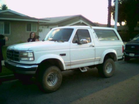 1993 Ford Bronco - Web wheeler swag.