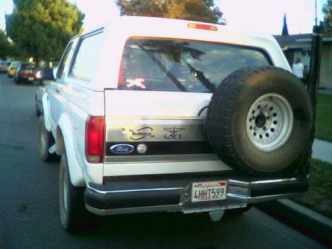 1993 Ford Bronco - More web wheeler swag.