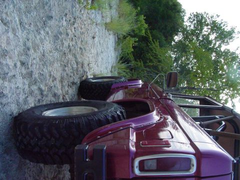 1977 Ford Bronco - This modified SUV, likely a 1978 model, is positioned on a sandy embankment with dense foliage behind it.