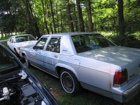 1991 Ford LTD Crown Victoria - Two sedans are parked on a grassy area surrounded by trees.