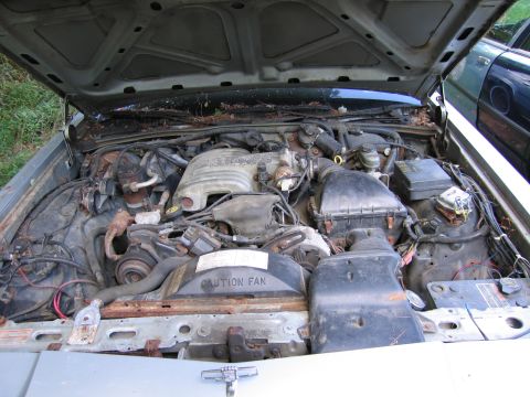 1991 Ford LTD Crown Victoria - The engine bay of a 1991 Ford Crown Victoria LTD is visible with the hood open.