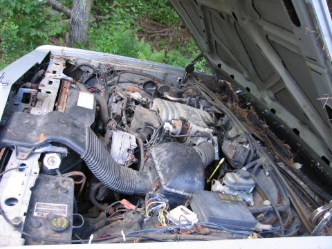 1991 Ford LTD Crown Victoria - The engine bay of a vehicle is visible with the hood open, revealing the engine and associated parts.