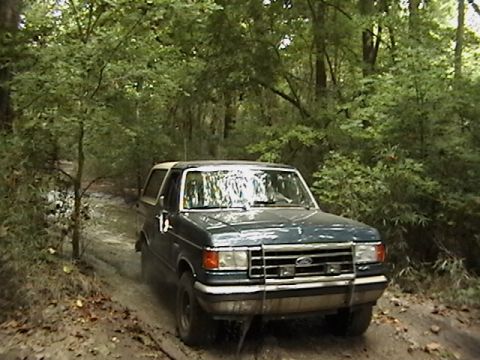 1986 Ford Bronco - This Ford Bronco is navigating a wet, dirt path surrounded by trees.