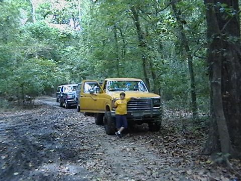 1986 Ford Bronco - A yellow 1986 Ford Bronco is parked on a dirt road in a forest, with two other vehicles visible behind it.