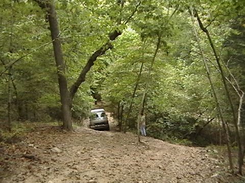 1986 Ford Bronco - A vehicle navigates a rough, unpaved path through a dense forest with trees lining both sides.