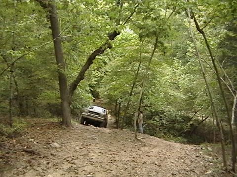 1986 Ford Bronco - A gray 1987 Ford Bronco navigates a dirt path through a dense forest.