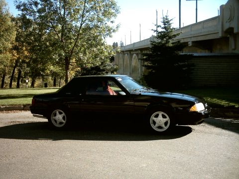 1989 Ford Mustang photo