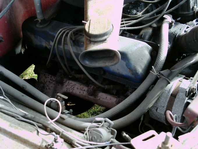 Blue Ford inline engine valve cover and rusty exhaust manifold seen through engine bay with weeds below