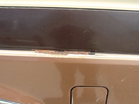1989 Ford Bronco - the paint that chipped