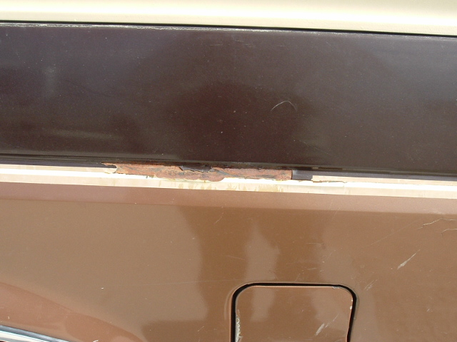 the paint that chipped