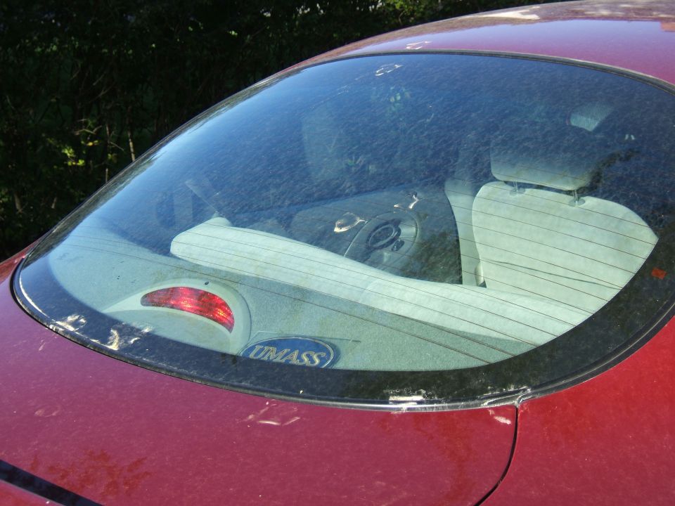 Red car's dusty rear window shows light-colored seats and a steering wheel inside