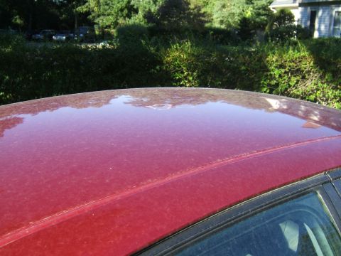 1998 Ford Taurus - The dusty red roof of a car is shown, with a Supermotors logo in the lower right corner.