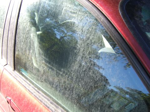 1998 Ford Taurus - A dirty car window obscures the interior and reflections of trees.