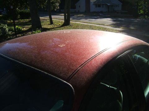 1998 Ford Taurus - The sun shines on the dusty roof of a red car parked outside a suburban house.