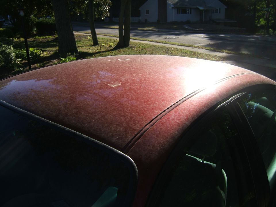 Dusty red car roof with sunlight glinting off it. Trees and a house in the background