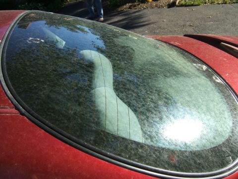 1998 Ford Taurus - The rear of a red car with a heavily soiled windshield and roof, obscuring any specific model details.