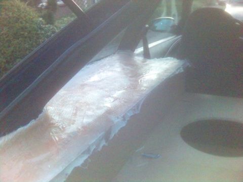 1994 Ford Probe - The interior of a car shows a dashboard with a white, textured material applied to the center console area.