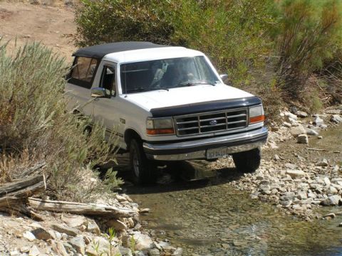 1988 Ford Bronco - A white Ford Bronco navigates a rocky stream bed surrounded by dry brush and trees.