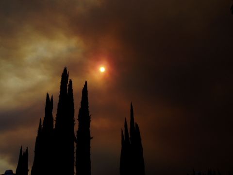1995 Ford Taurus - The sun appears as a small, bright orb through thick smoke, with silhouetted trees in the foreground.