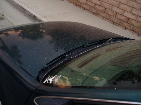 1995 Ford Taurus - A dark green car hood and windshield are visible, with a sticker on the lower windshield.