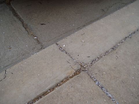 1995 Ford Taurus - A close-up view of cracked concrete pavement with debris in the crevices.