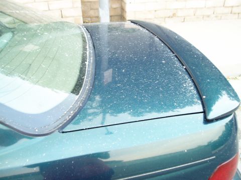 1995 Ford Taurus - Close-up view of the rear spoiler and window of a teal-colored car.