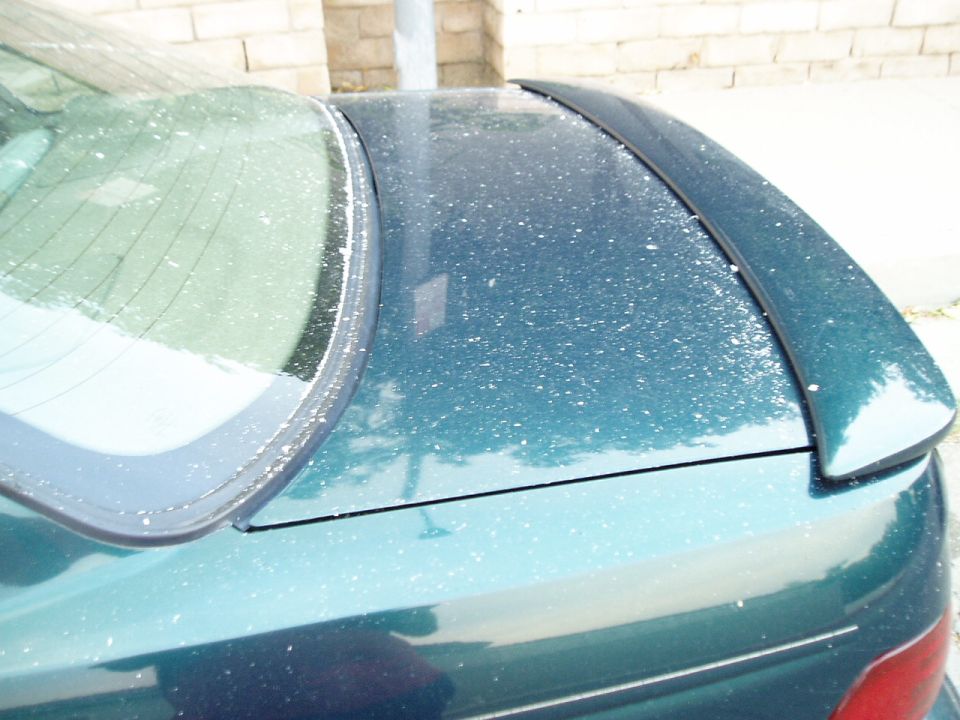 Teal car's rear spoiler and rear window