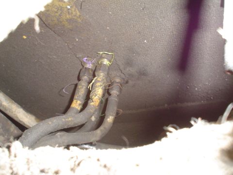 1966 International School Bus - A close-up view of several hoses, possibly fuel lines, with wiring and tape, suggesting a part of a vehicle's undercarriage.